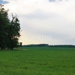 Obora Pravice ✓ Nabídky poplatkového lovu daňka · Lov muflona · Lov jelena siky Dybowského