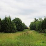 Bažantnice Radany ✓ Poplatkové hony na bažanta ✓ Lov ploužením na bažantí zvěř