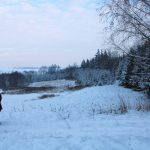 Hare hunt in the Czech republic