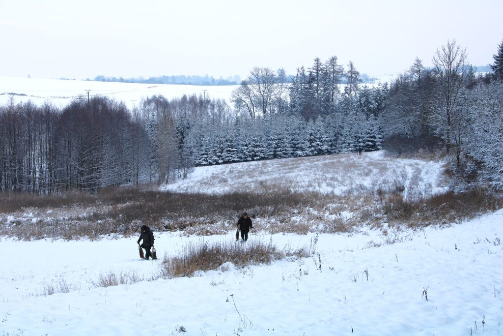 Honitba Libochová ✓ Poplatkový lov na zajíce ✓ Honitba se nachází na Vysočině
