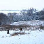 Hare hunt in the Czech republic