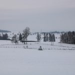Honitba Libochová ✓ Poplatkový lov na zajíce ✓ Honitba se nachází na Vysočině