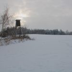 Hare hunt in the Czech republic
