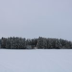 Honitba Libochová ✓ Poplatkový lov na zajíce ✓ Honitba se nachází na Vysočině
