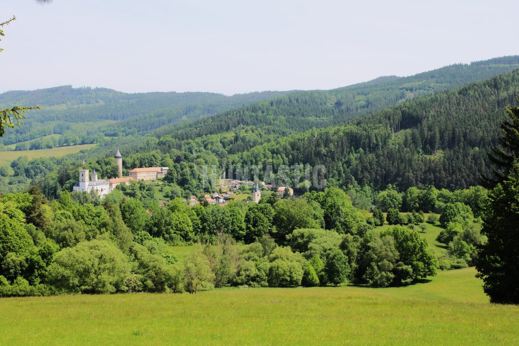 Poplatkový lov v honitbě Přízeř ✅ Lov daňka · Lov divočáka · Lov srnce · Lov jelena