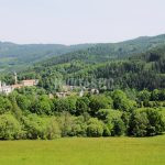 Hunting ground Přízeř in the Czech Republic ✅ Red stag hunt · Wild boar hunt · Roe buck hunt · Red stag hunt