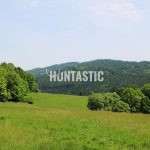 Hunting for a fee in the Přízeř hunting area ✅ Fallow deer hunting · Wild boar Hunting ·  Roe deer Hunting · Red stag hunting