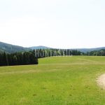 Hunting for a fee in the Přízeř hunting area ✅ Fallow deer hunting · Wild boar Hunting ·  Roe deer Hunting · Red stag hunting