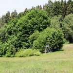 Lov uz naknadu u lovištu Přízeř ✅ Lov jelena lopatara · Lov divlje svinje · Lov srndaća · Lov jelena