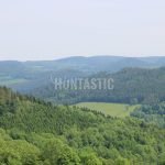 Hunting for a fee in the Přízeř hunting area ✅ Fallow deer hunting · Wild boar Hunting ·  Roe deer Hunting · Red stag hunting