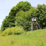 Hunting for a fee in the Přízeř hunting area ✅ Fallow deer hunting · Wild boar Hunting ·  Roe deer Hunting · Red stag hunting