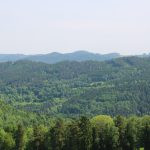 Lov uz naknadu u lovištu Přízeř ✅ Lov jelena lopatara · Lov divlje svinje · Lov srndaća · Lov jelena