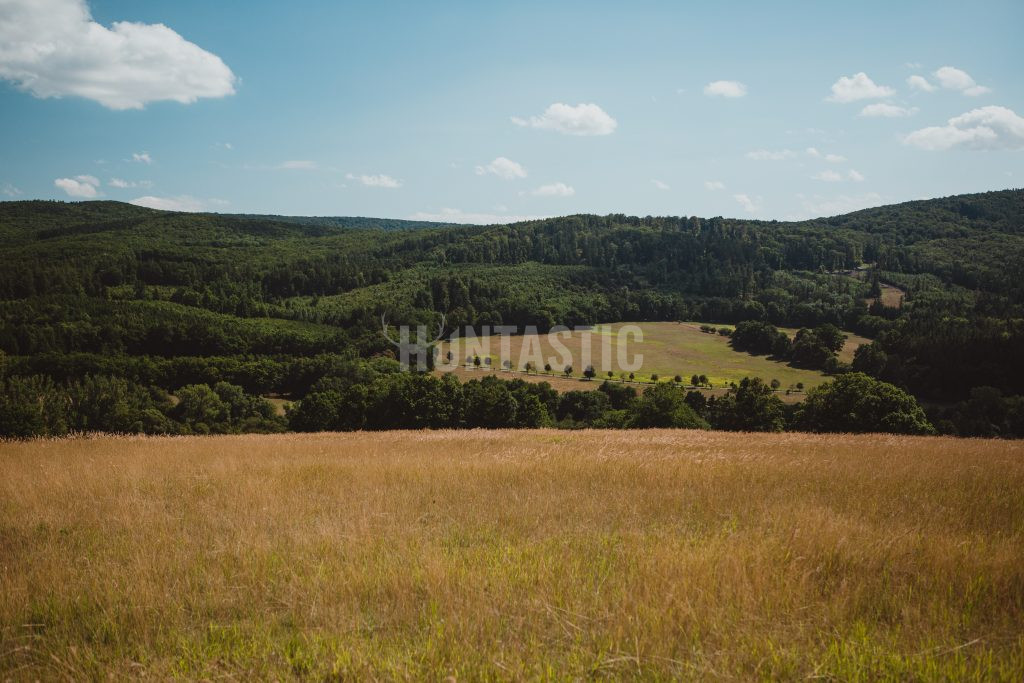 Obora Radějov ✅ Resort Radějov ✅ Nabídka poplatkového lovu jelena a lovu daňka ✅