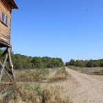 Hunting ground Mostonga Bač