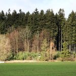 # Hunting Ground Stará Huť