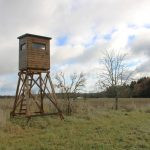Hunting permit for trophy game in the Vysočina region