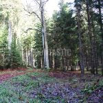 # Hunting Ground Stará Huť