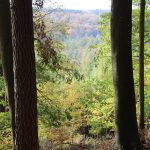 Hunting ground of Tabarka
