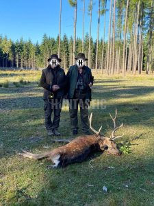 Lov na dybowskog jelena 2026/2027 0