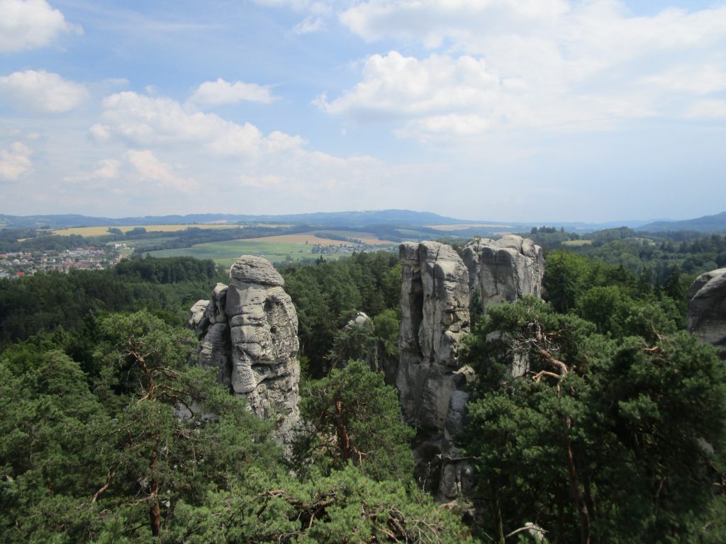 Honitba Radeč v Českém ráji ✅ Lov muflona ✅ Naháňka na divočáky ✅