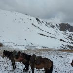 Hunt in Kyrgyzstan
