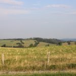 Honitba Petrovice
