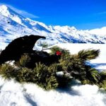 Hunting black grouse in Austria, Hunting area Obergur.