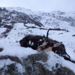 Obergur area, Austria (4)