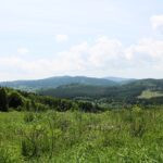 # Lovište Přízeř (1)