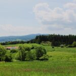 Lovište Přízeř (53)