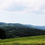 Lovište Přízeř (57)