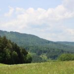 Lovište Přízeř (72)