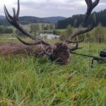 Hunting of Red Stag Šumava 197 CIC - silver