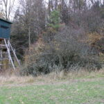Javorka hunting ground