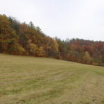 Lovište Javorka