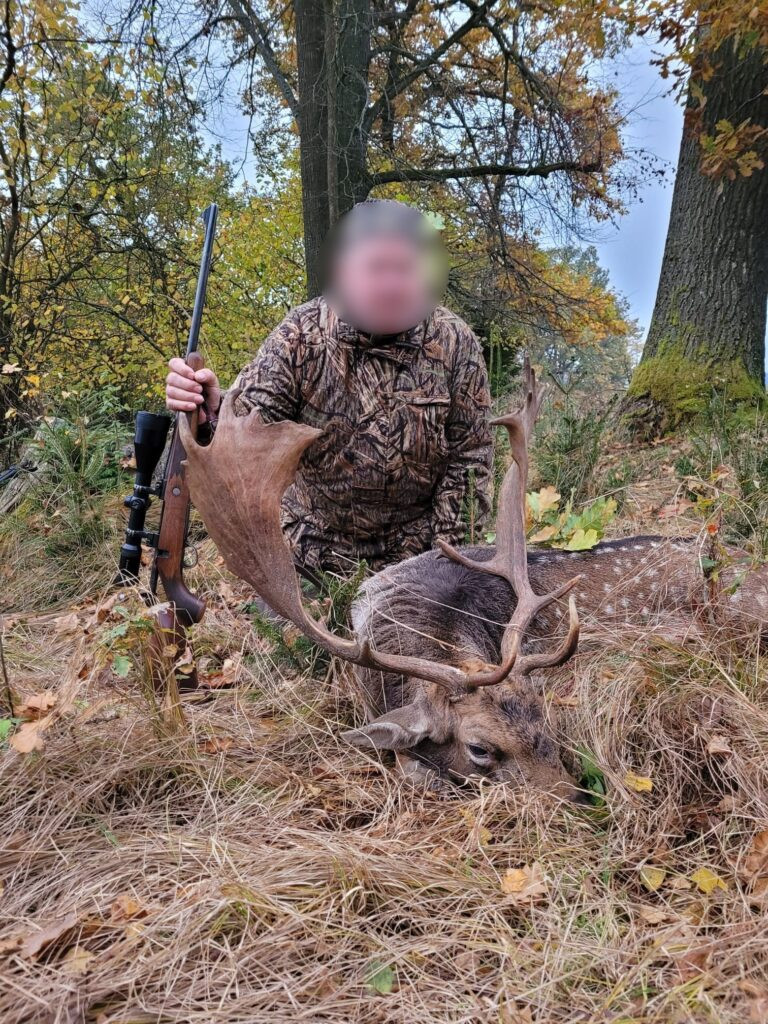 Lov jelena lopatara na Šumavi 2026