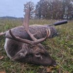 Lov lopatara na Šumavi