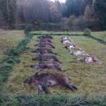 # Pogon tri dana 2025