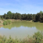 Obora Ploužnice (11)