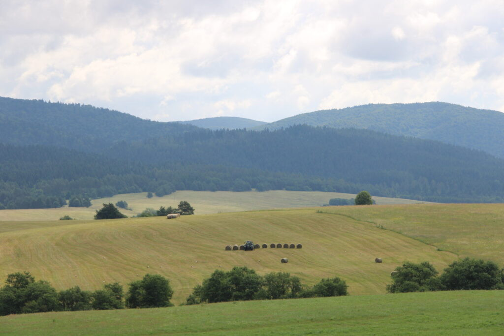 Lovačko područje poljski Bieszczady ✅ Lov jelena u Poljskoj ✅