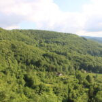 Bosna i Hercegovina (1)
