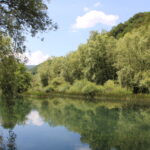 Bosna i Hercegovina (12)