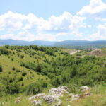Bosna i Hercegovina (14)
