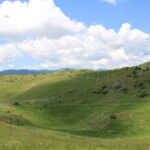 Bosna i Hercegovina (19)