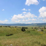 Bosna i Hercegovina (20)