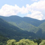 Bosna i Hercegovina (9)